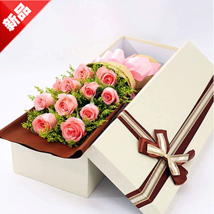 测试的案例信息，测试的案例信息