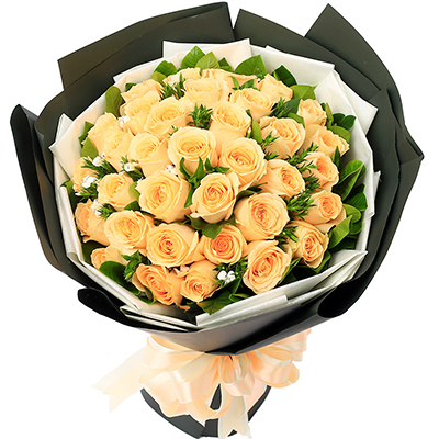 测试的案例信息，测试的案例信息